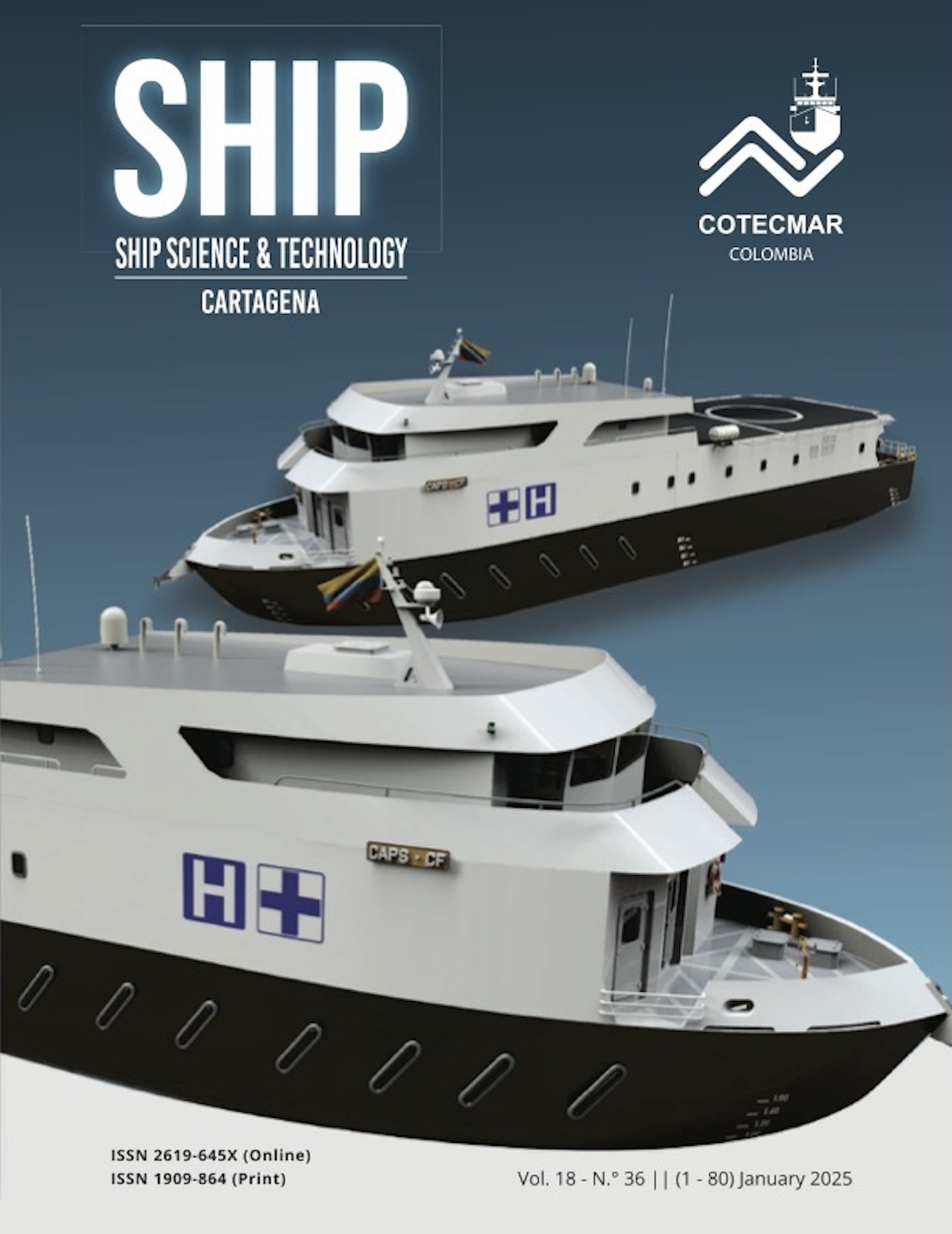 					Ver Vol. 18 Núm. 36 (2025)
				